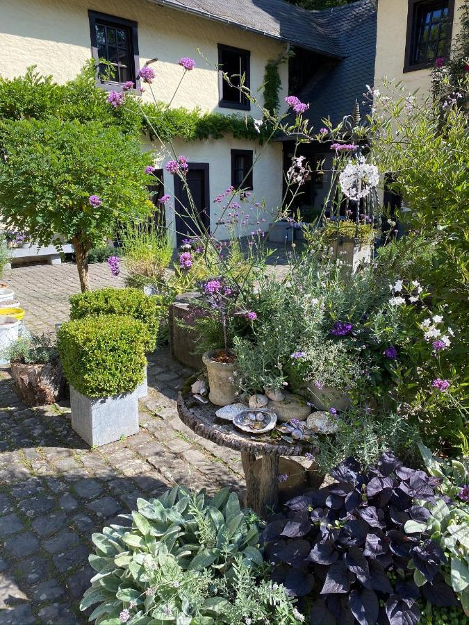 Loeffelmuehle Boutique Bed And Breakfast Pillig Kültér fotó